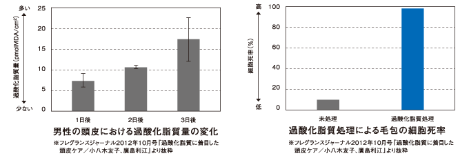 左：男性の頭皮における過酸化脂肪量の変化／右：過酸化脂肪処理による毛包の細胞死率