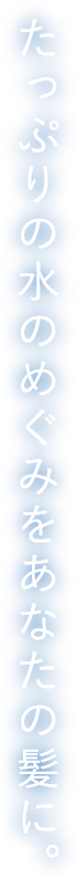 たっぷりの水のめぐみをあなたの髪に。