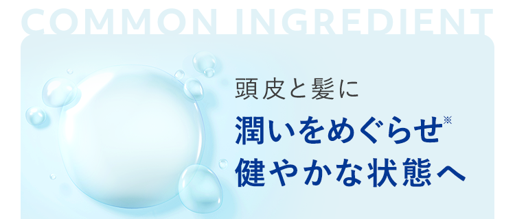 髪と頭皮に潤いをめぐらせ※健やかな状態へ