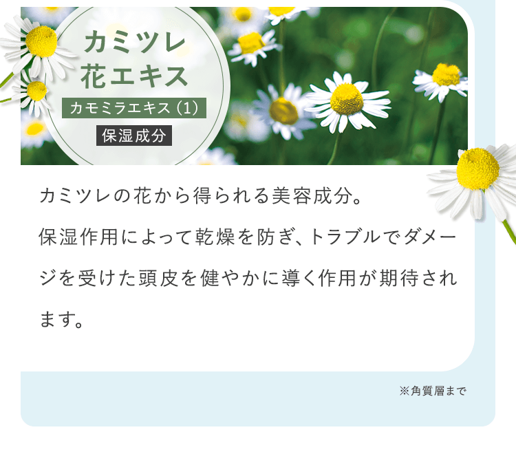 カミツレ花エキス 