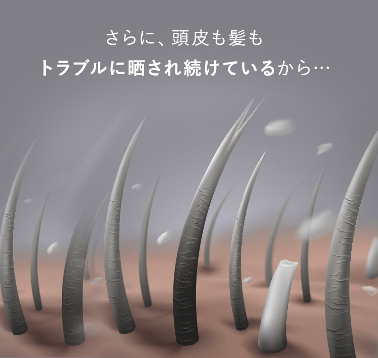 さらに、頭皮も髪も トラブルに晒され続けているから…