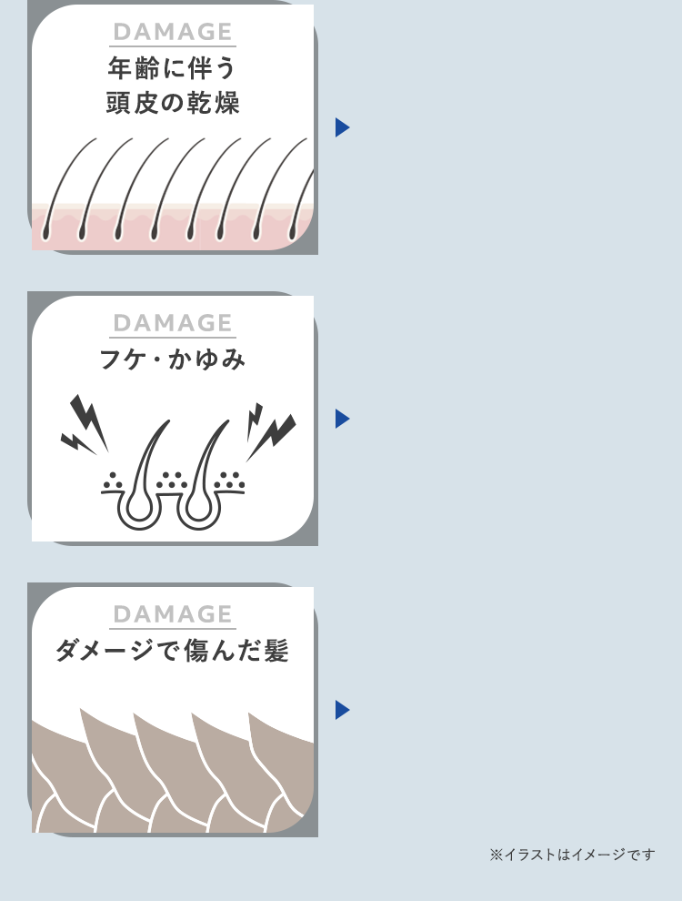 年齢に伴う 頭皮の乾燥/フケ・かゆみ/ダメージで傷んだ髪…